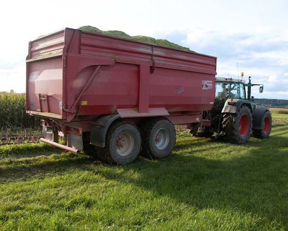 Gere Transporte - Grasbergung